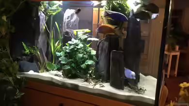 Becken 3215 von Vera Herrlich