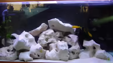 Becken 324 von Kerstin Maier