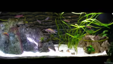 Becken 3268 von Bastian Nagel