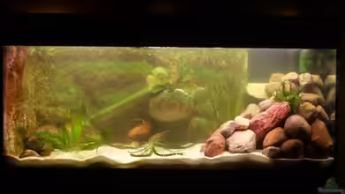 Becken 3269 von Rene Kandler