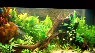 Becken 3272 von Dirk Leidecker