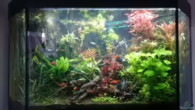 Becken 32834 von Nico_BS