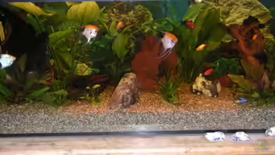 Becken 3286 von Kai Himmelreich