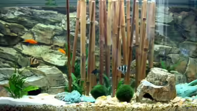 Becken 3298 von Rene Wiedemann