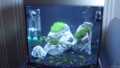 Becken 33188 von Theo Becker