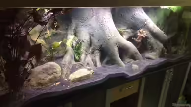 Becken 33220 von Ralf Huber