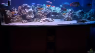 Becken 3333 von Stephan Krammer