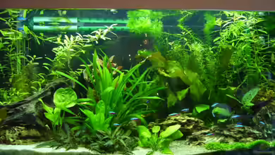 Becken 3345 von Micha WB