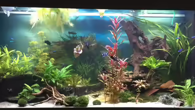 Becken 33471 von Olaf Brandt