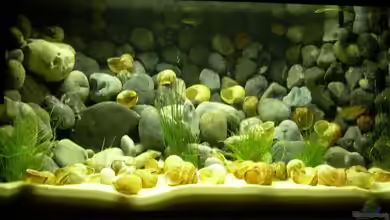 Becken 3352 von Holger Bellen