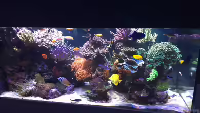 Becken 33714 von Joachim Dierl