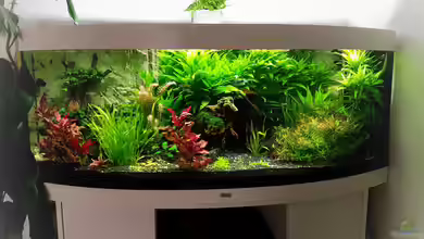 Becken 33720 von H4rdei