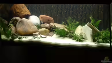 Becken 339 von Matthias Hellberg