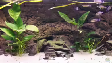 Becken 3404 von Martin Hänggi