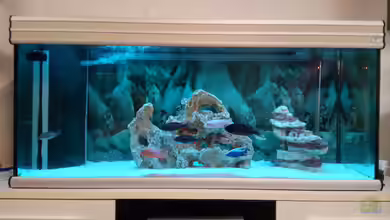 Becken 34175 von stefan84