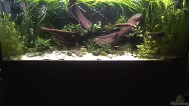 Becken 34195 von Dominik Wexenberger