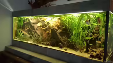 Becken 34292 von Asta