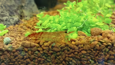 Becken 3434 von Jens Hug