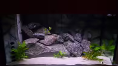 Becken 3441 von Karoline Moosbauer