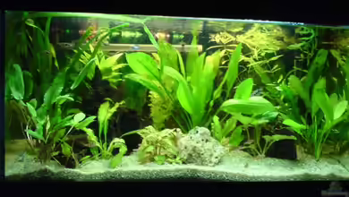 Becken 3447 von Jonas Thiel