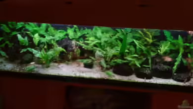 Becken 3483 von Sören Gebhardt