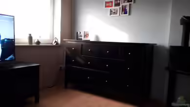 Becken 34864 von AmazonasFreak91