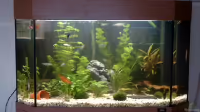 Becken 3504 von Björn Krüger