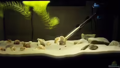 Becken 351 von Thorsten Streckhardt