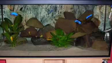 Becken 3512 von Marcel Hoppe