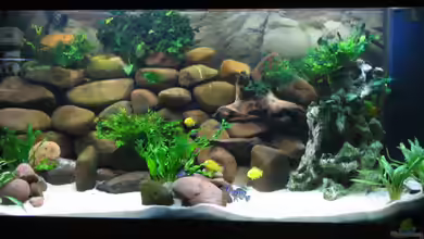 Becken 3514 von Hans Ehlers