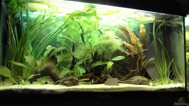 Becken 3522 von -=Diskus-Fan=-