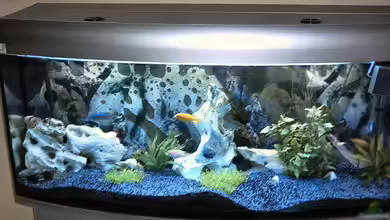 Becken 3631 von Uwe Krieg