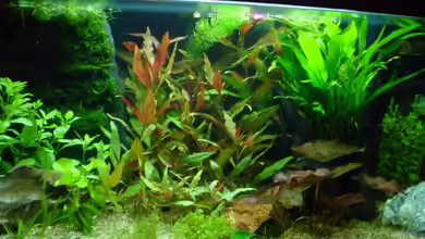 Becken 3650 von Sabine Stark