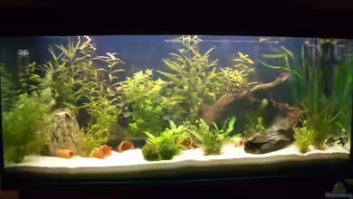 Becken 3711 von Juergen Keimeleder