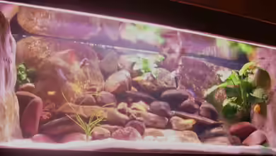 Becken 3720 von Karl-Heinz Krings