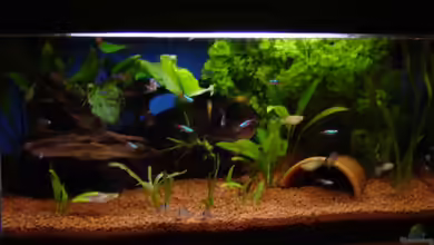 Becken 3749 von Claudio Zeitler