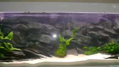 Becken 3764 von Oliver Jaguczak