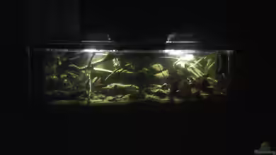 Becken 37738 von Tobias Bönte