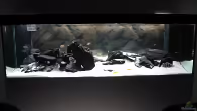 Becken 3788 von Micha Freiburghaus