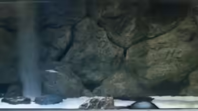 Becken 3925 von Christian Daniel