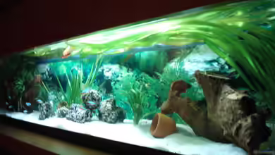 Becken 3934 von Michel Goerns