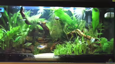 Becken 3944 von Ingeborg Bohry