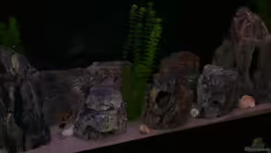 Becken 397 von Guido Ramke