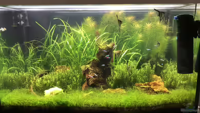 Becken 39775 von Stephan Krieg