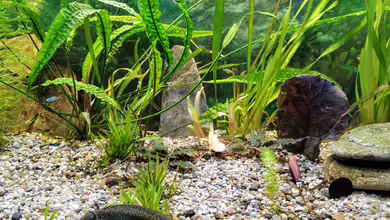 Becken 4018 von jeaw70