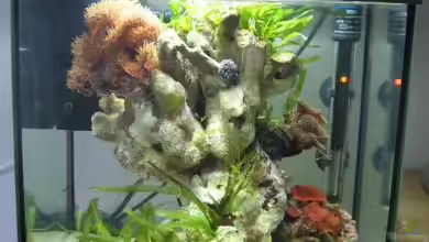 Becken 4036 von water13