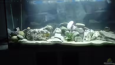 Becken 413 von Sebastian Lahmeyer