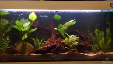 Becken 4136 von Christian Santner