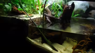 Becken 4139 von Christian Friedrich