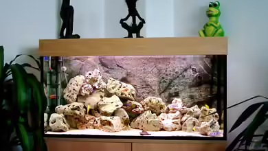 Becken 415 von Kay Bergmann